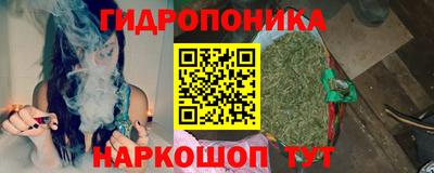 сатива Коммунар