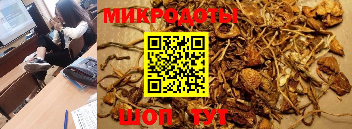 Галлюциногенные грибы мицелий  Вход с VPN  Краснодар  Псилоцибиновые грибы мухоморы 